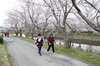 Akasaka Greenway