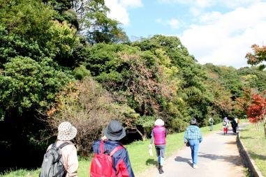 Shin Ken Greenway (Hisayama)