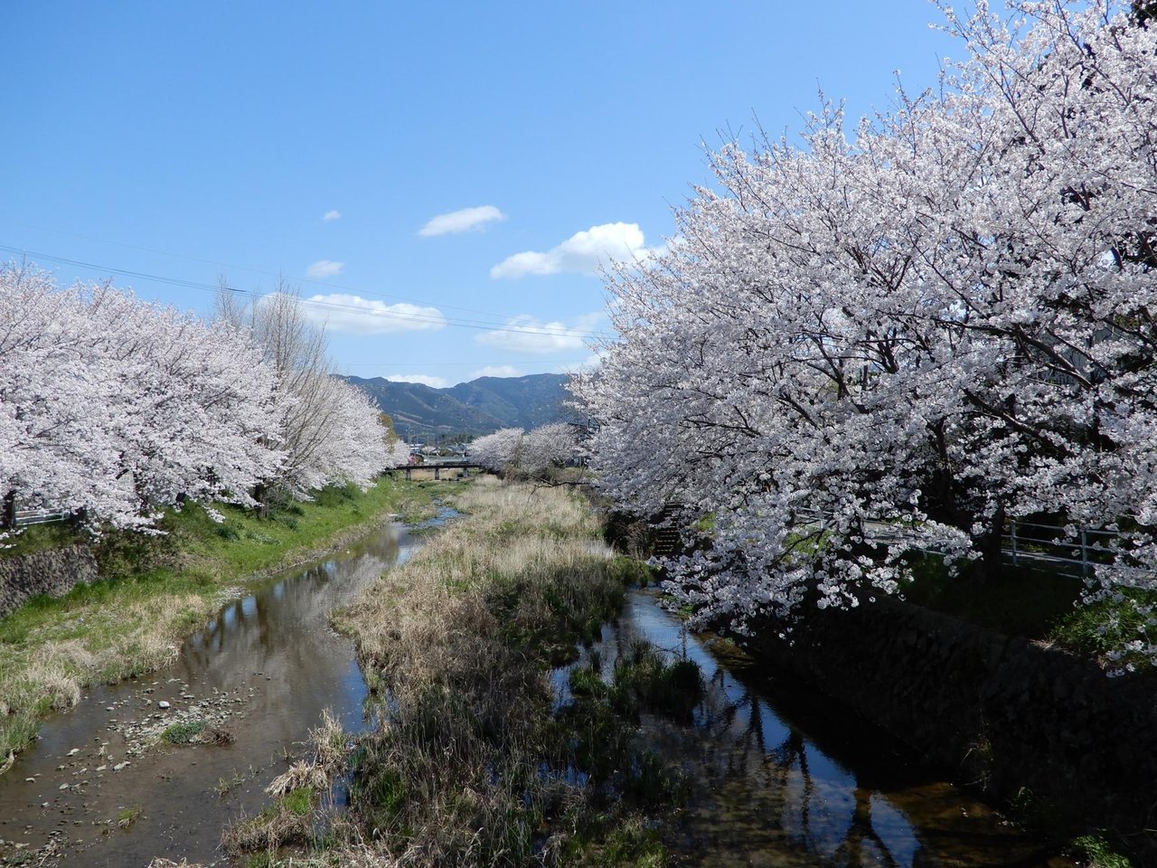 Hisahara Kawa