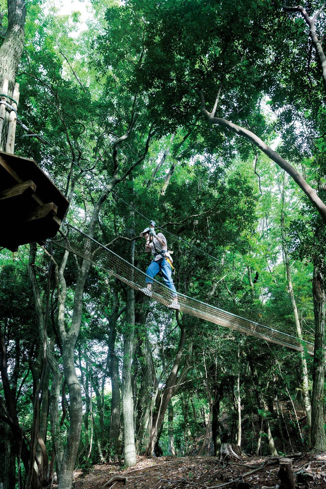 Forest Adventure Hisayama