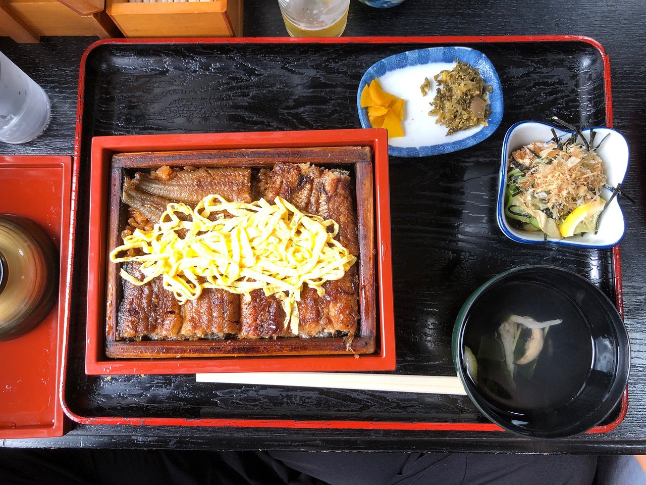 Toyama eel