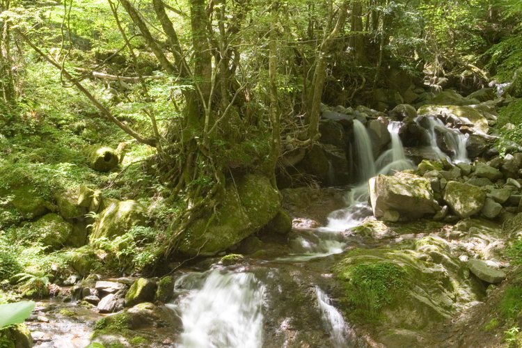 Gozendake Spring Water