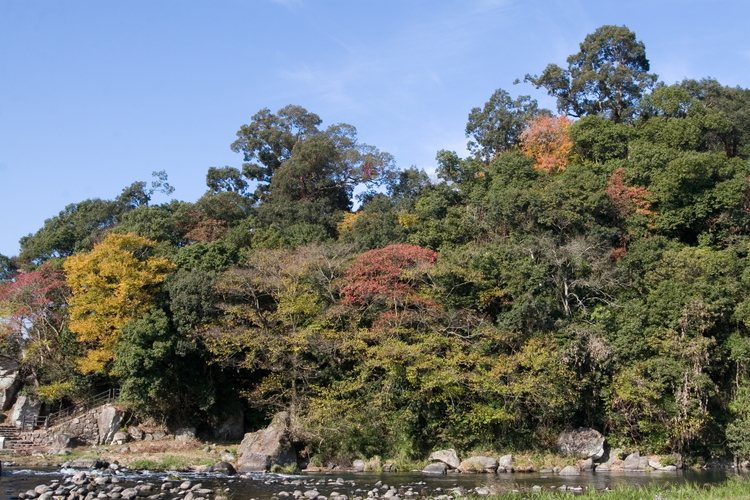 Kizan Park