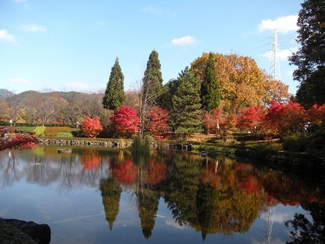 Iichiko Hita Joryujo