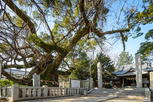 Oimatsu Shrine