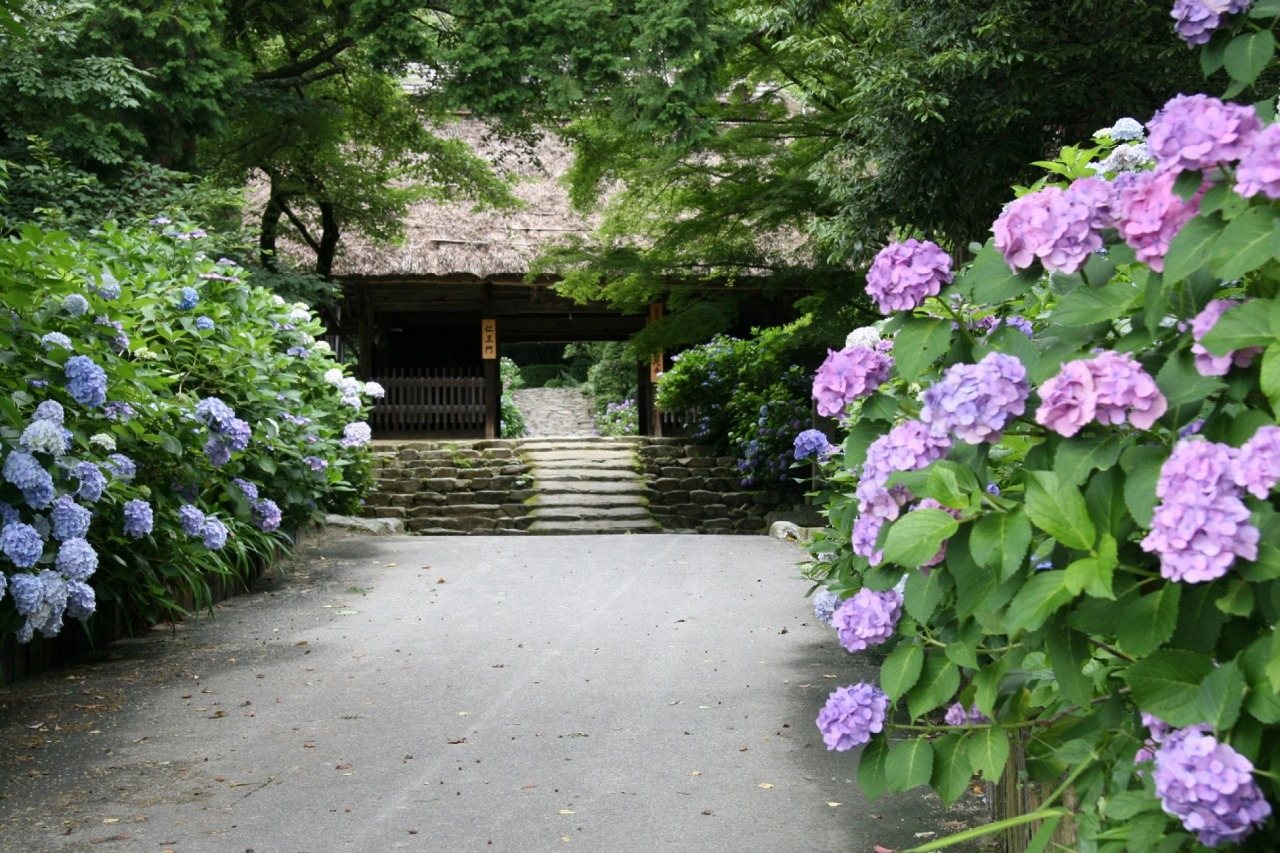 Todai-ji Betsuin Amida-ji Temple