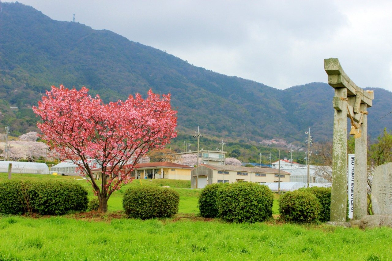 Kasuga Shrine