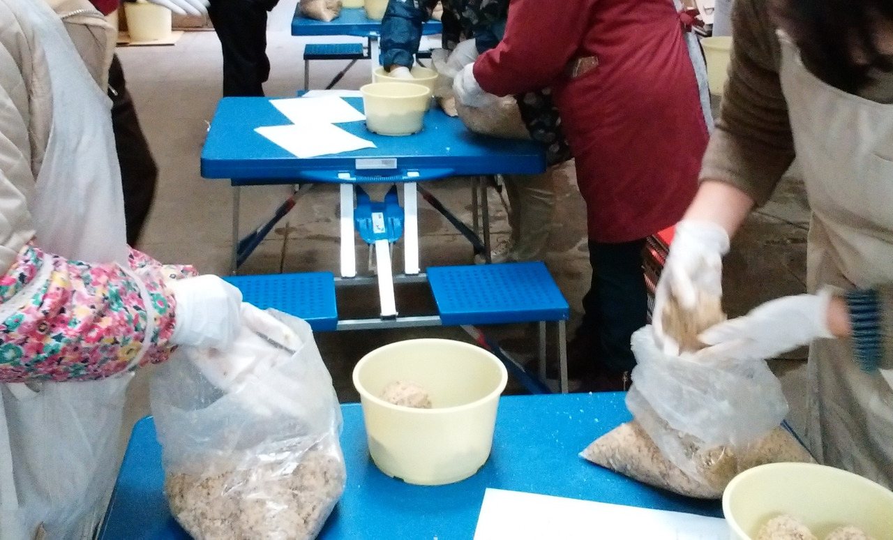 Miso-Making Experience at Eiunso
