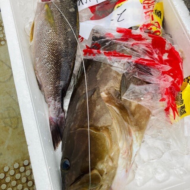 炉ばた 高