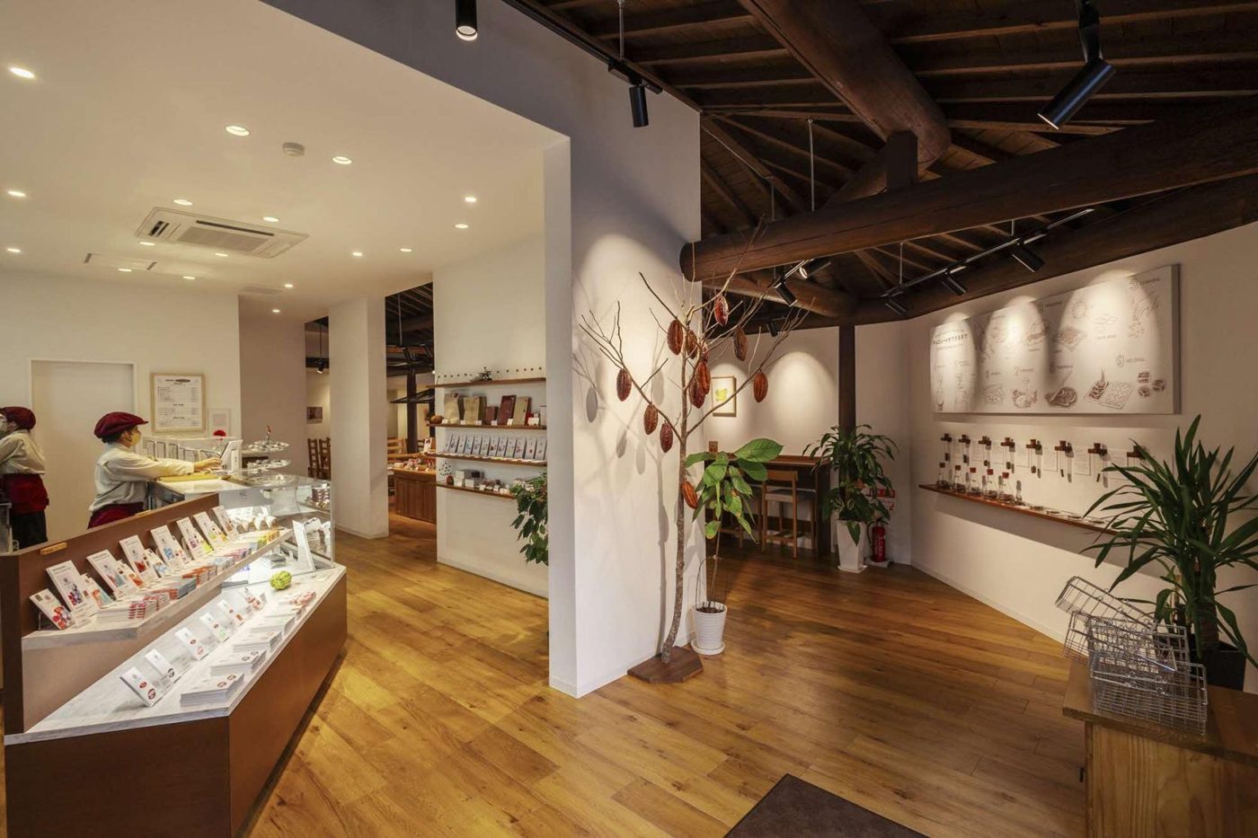 Cacao Research Institute