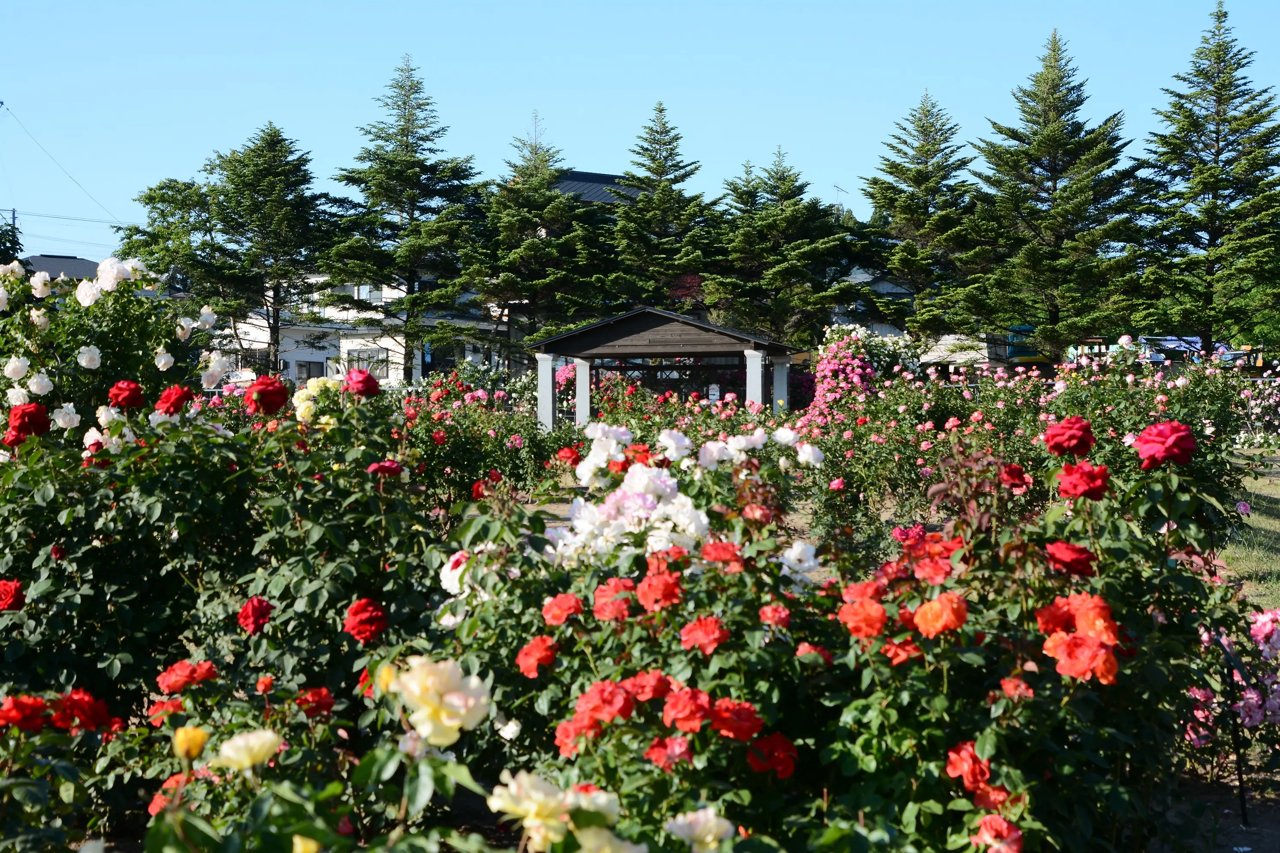 Nihonkoku Hanazono