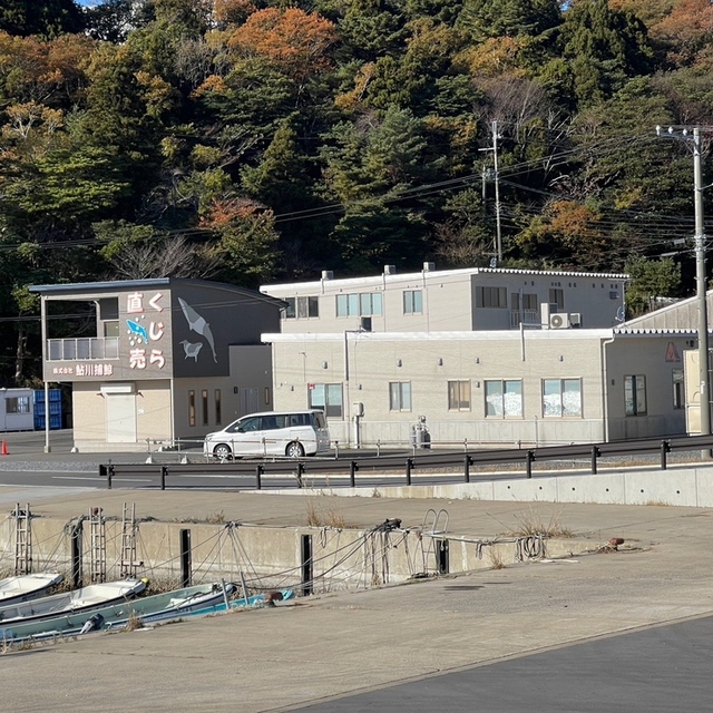 鮎川くじら本舗