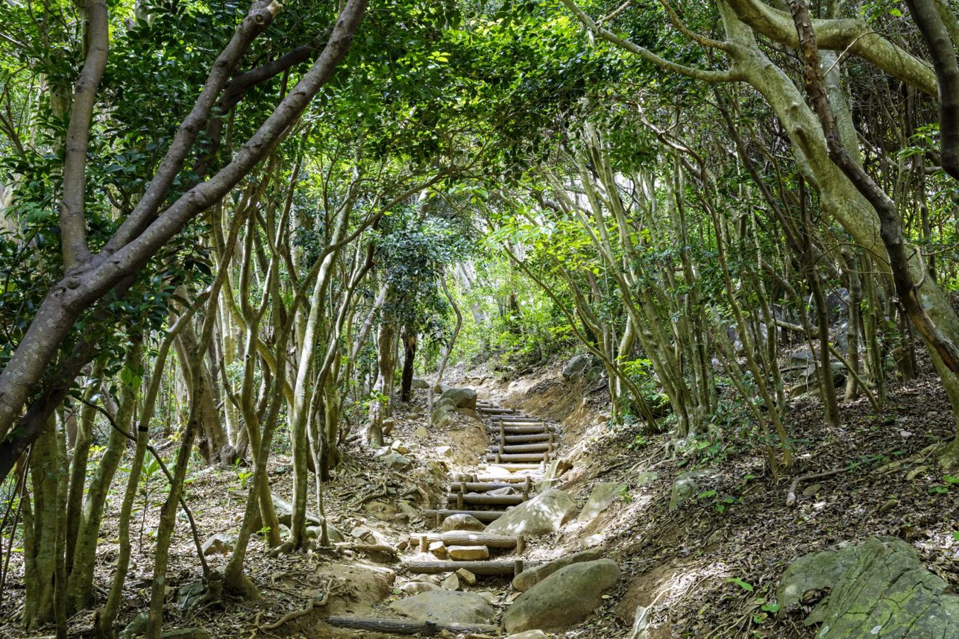 Kaiya Great Gate Park (Nature Promenade)
