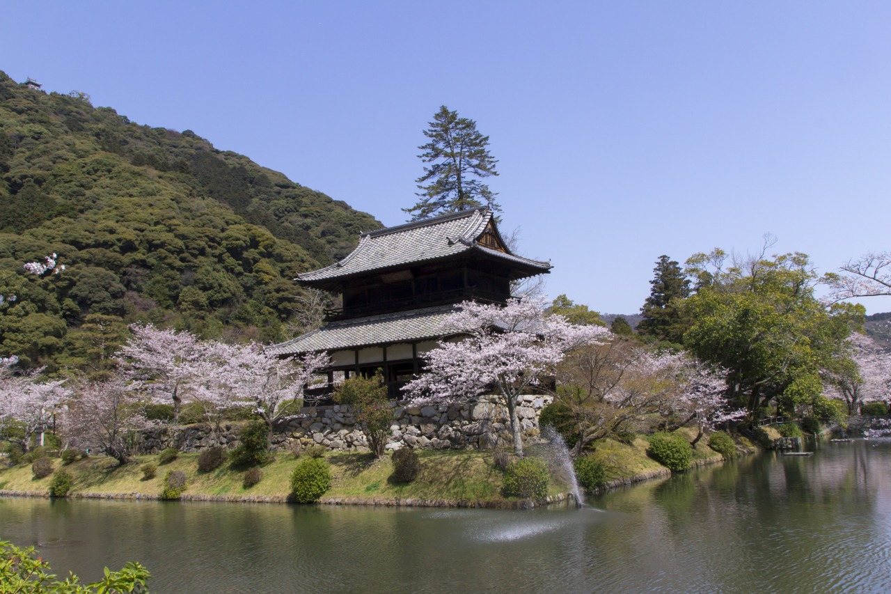Kikko Park