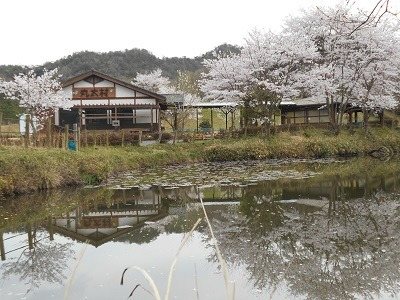 Maruta Village Forest Experience Center