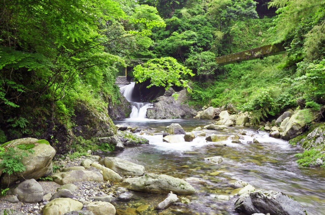 Kitani Kyo
