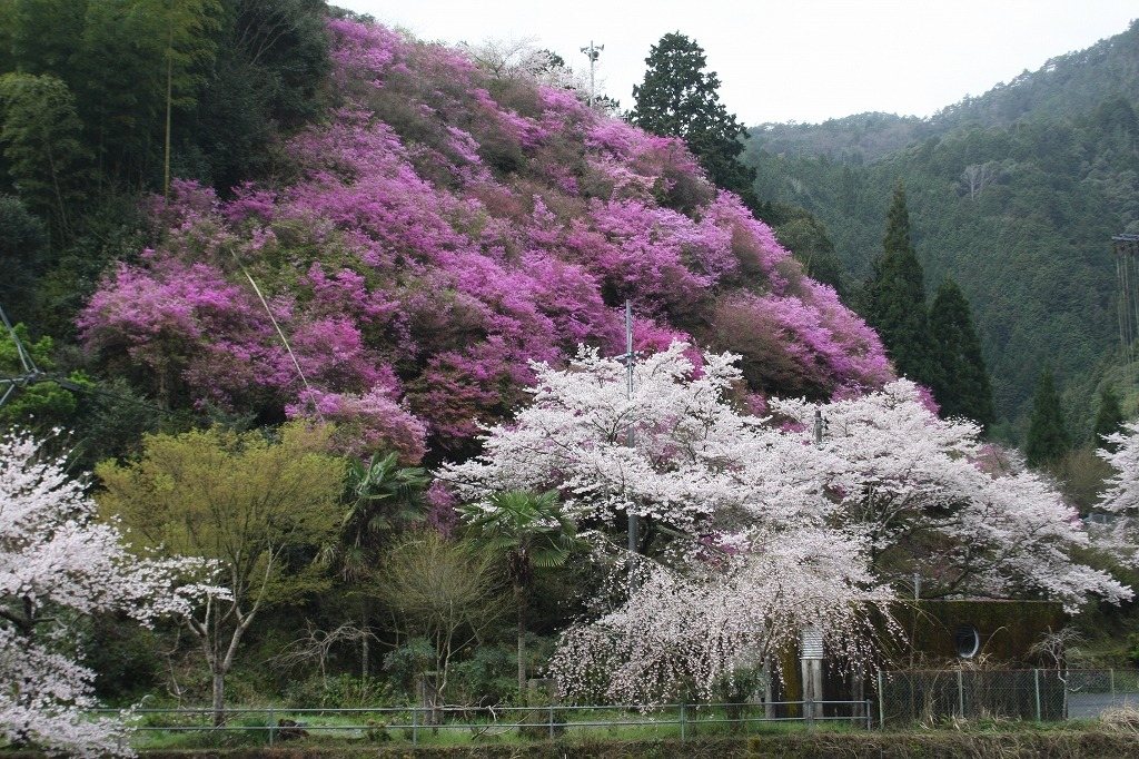 Yama no Nai Kameyama Park