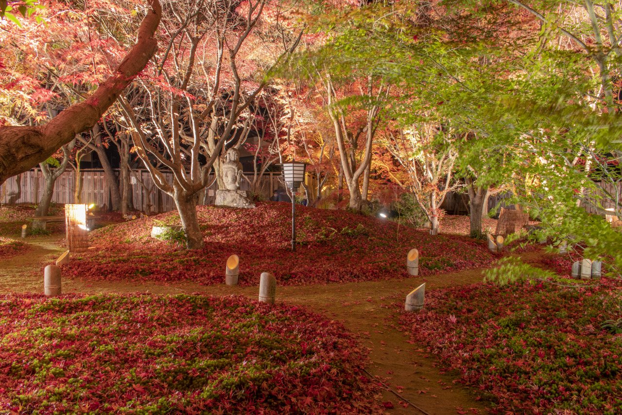 Uno Chiyo Seika Autumn Leaves Light-up
