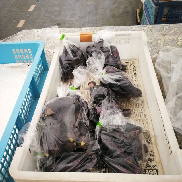 田んぼアート ふれあい直売所