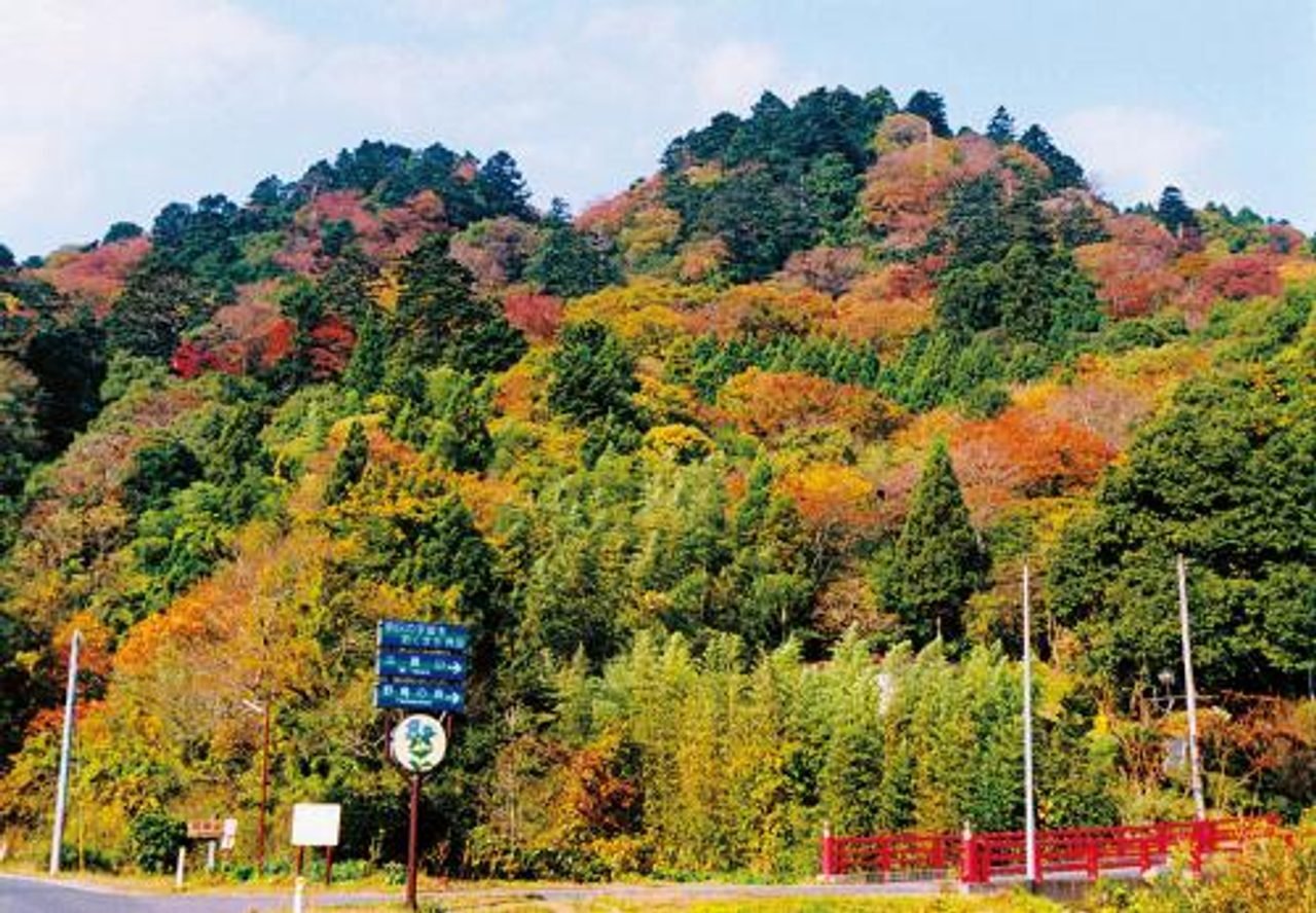 Mt. Tokura