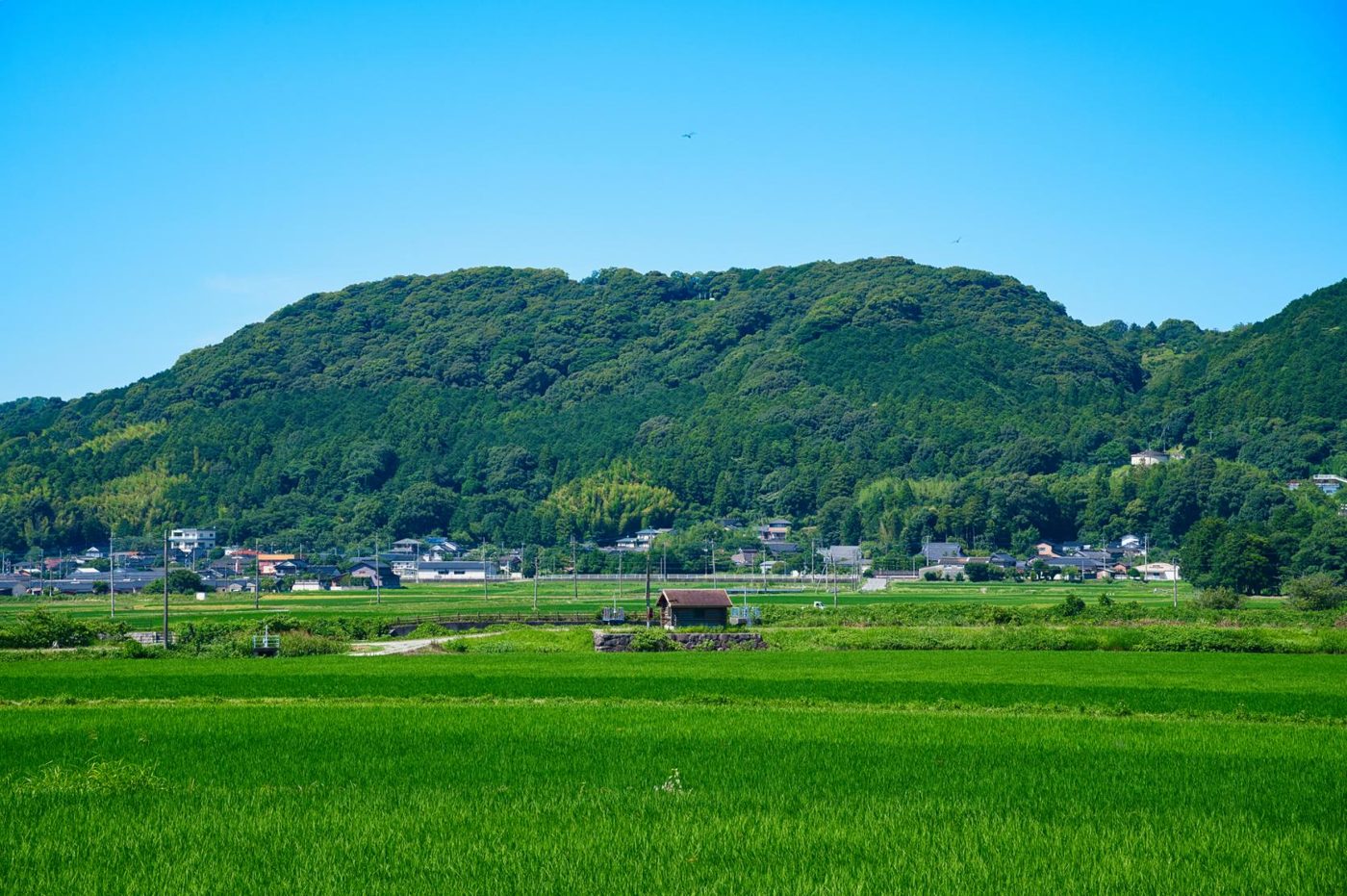 Okuma Castle Ruins (Masutomi Castle Ruins)