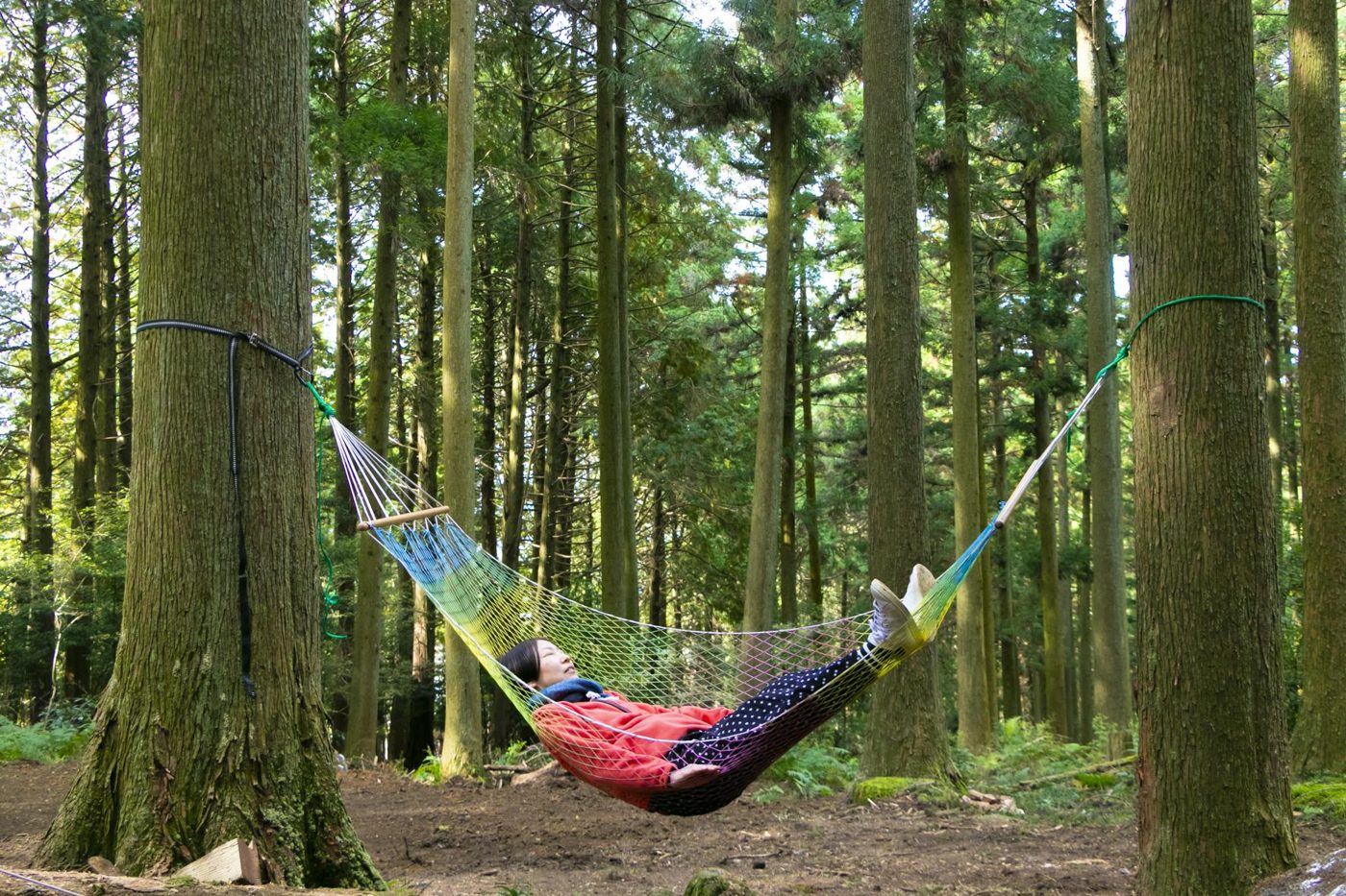 Hygge Experience in the Forest