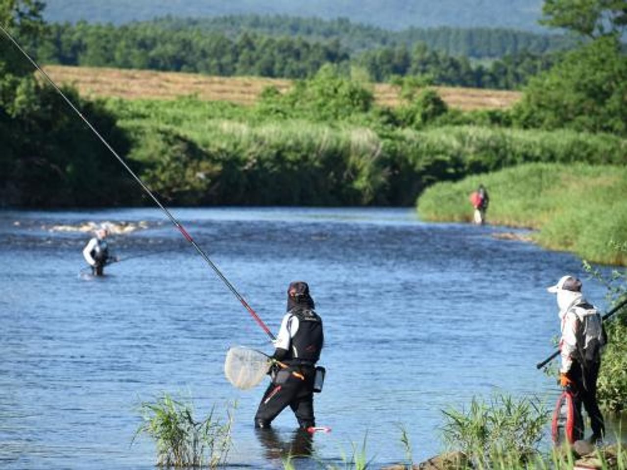 Narumegawa Ayu Fishing Experience