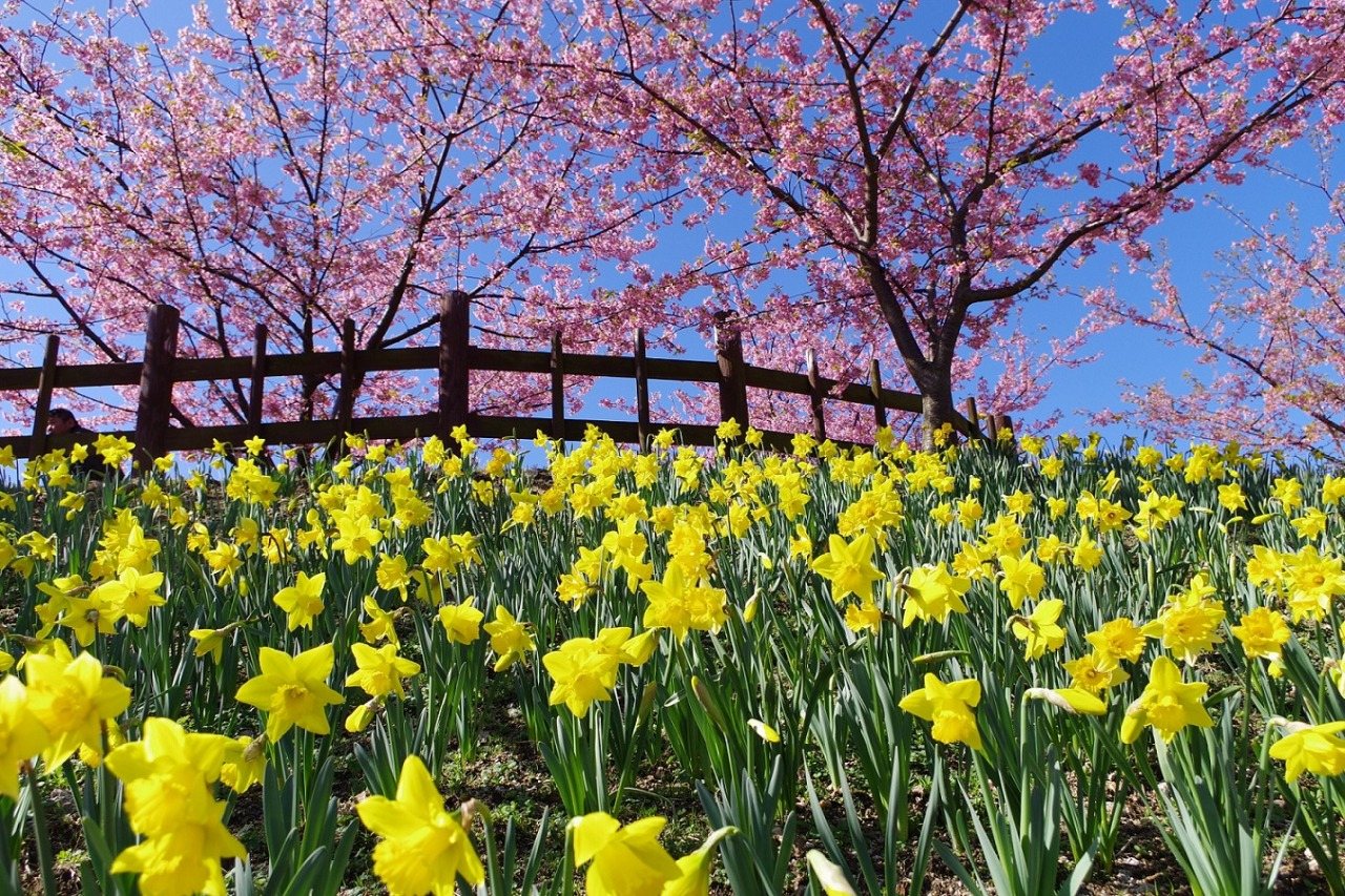 Shiroyama History Park