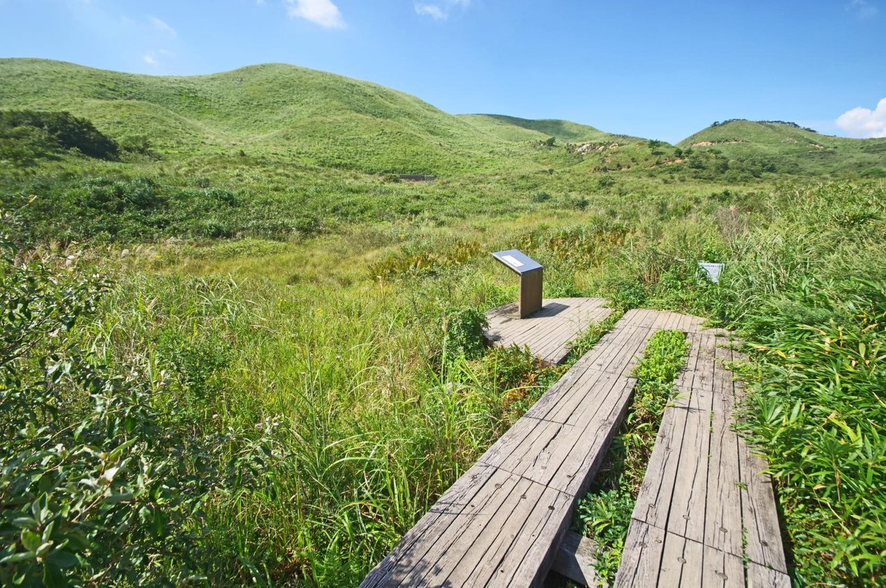 Hirotani Marsh