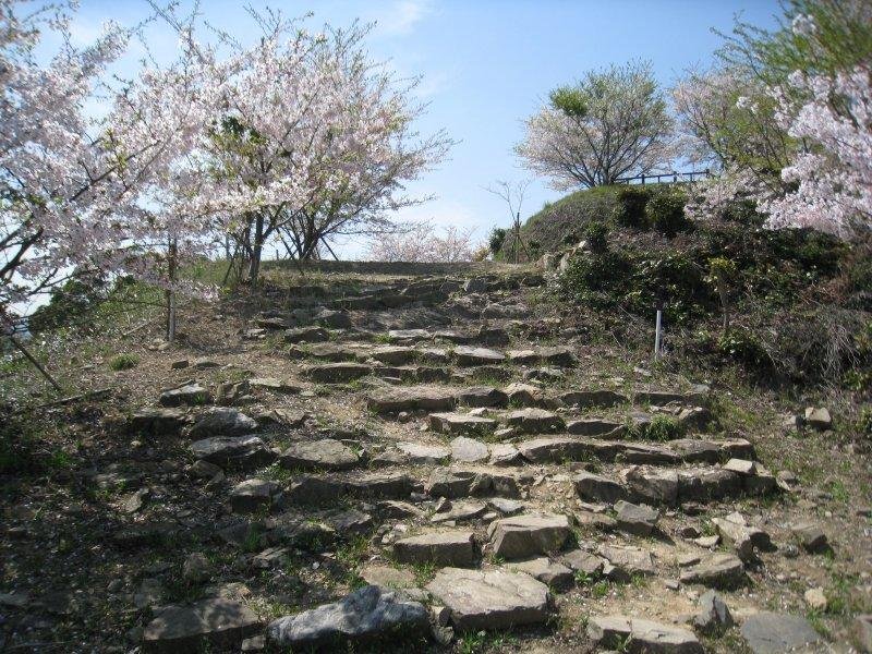 Matsuyama Castle Ruins