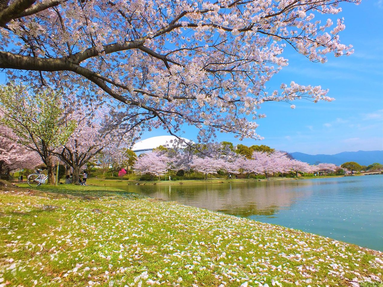 Ga Yo Cho Park