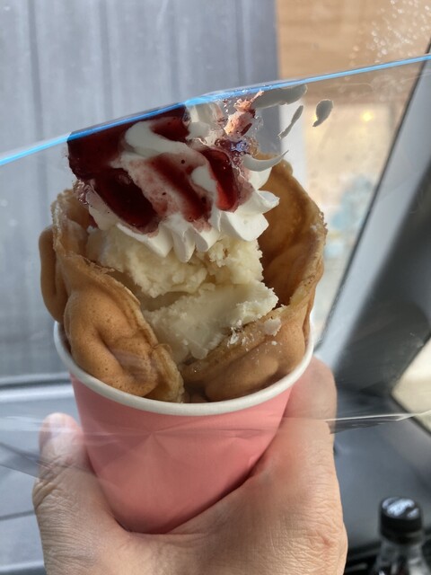 レフビューティー