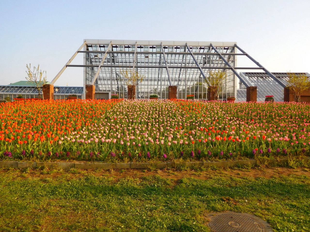Roadside Station Showa Burumesse Akita