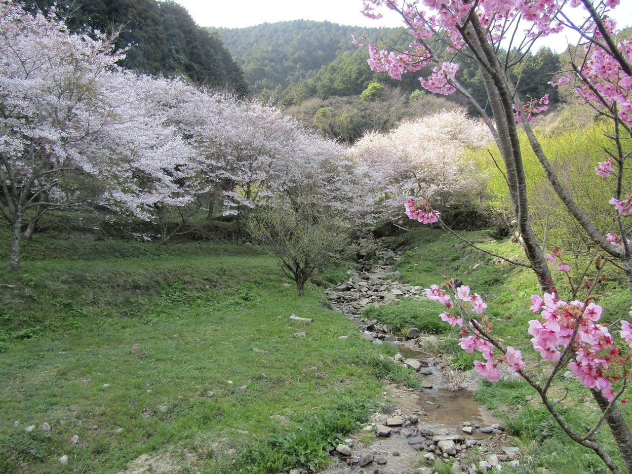 Nagamitsu Enjin no Takizakura Park