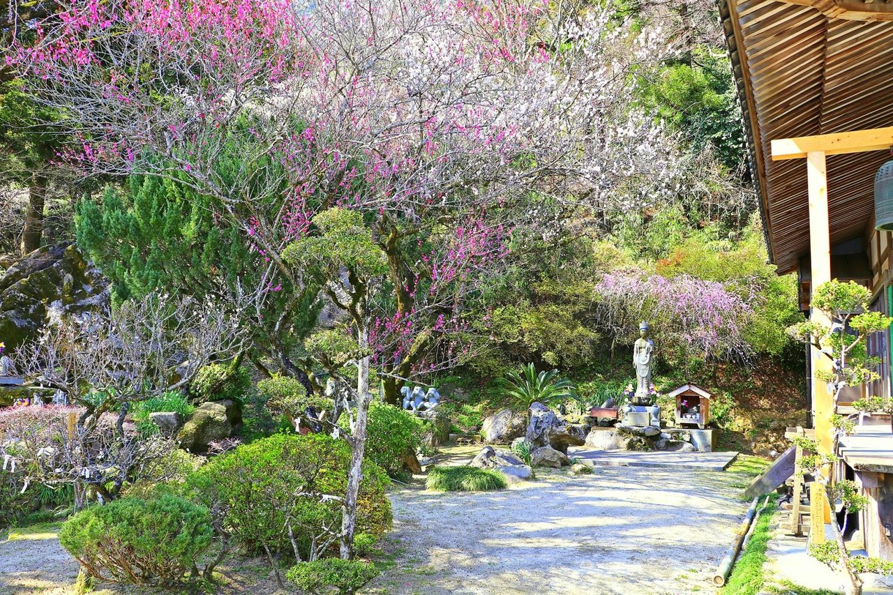 Shrine In