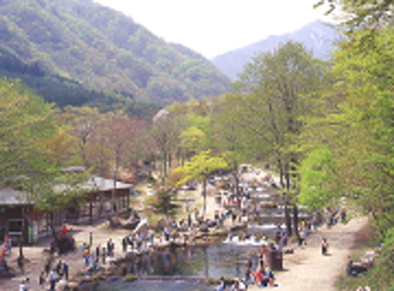 Shin-Tohoku Sasaya Stream Fishing
