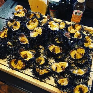 ホルモン道場