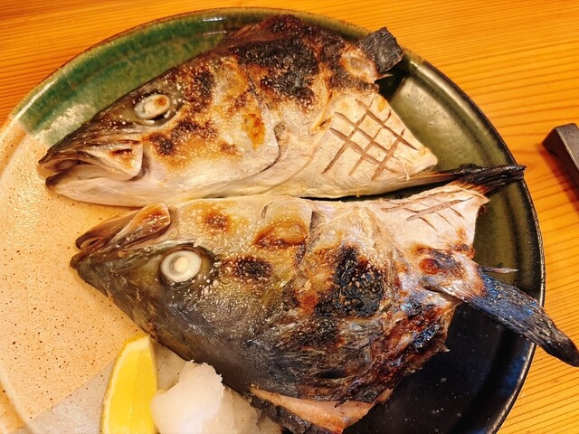 旬鮮処 菊せん