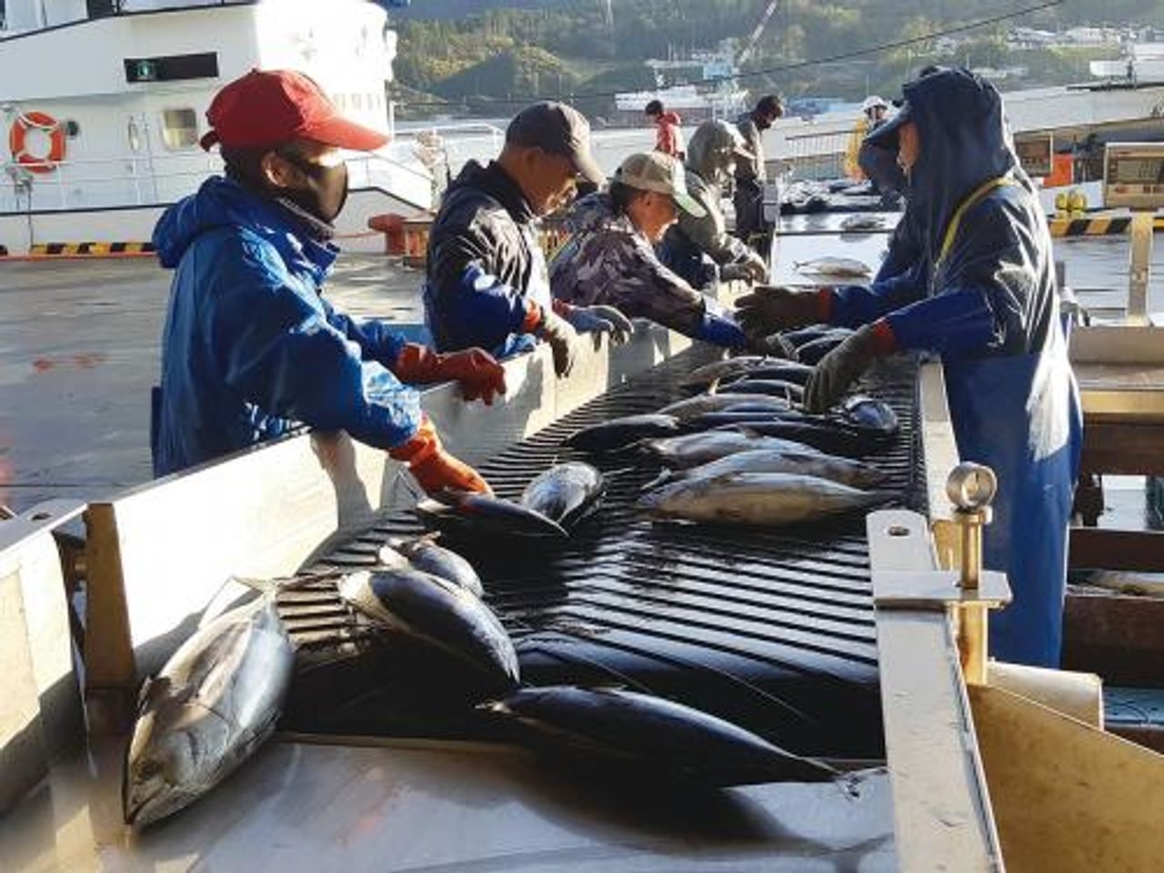 Kesennuma Fish Market