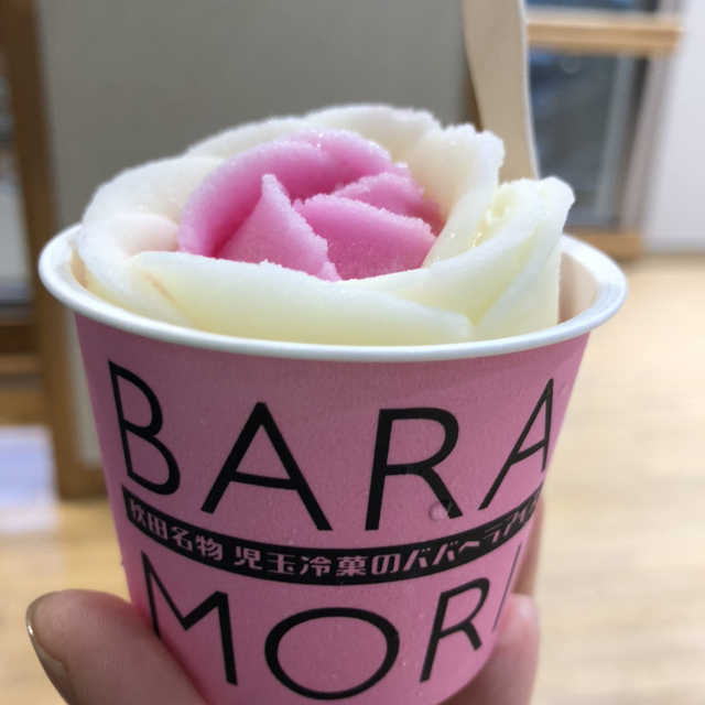 ANAフェスタ 大館能代ロビー店