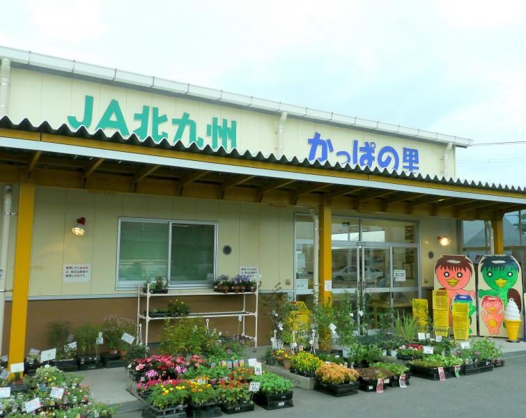 Kappa Village