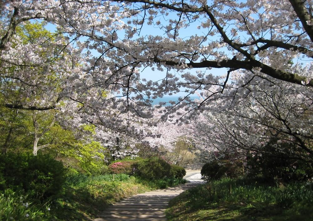 Shiranoe Shokubutsu Park