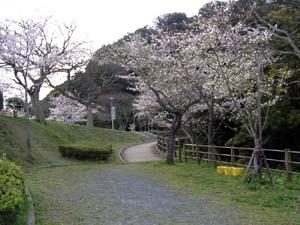 Wakame Kari Park