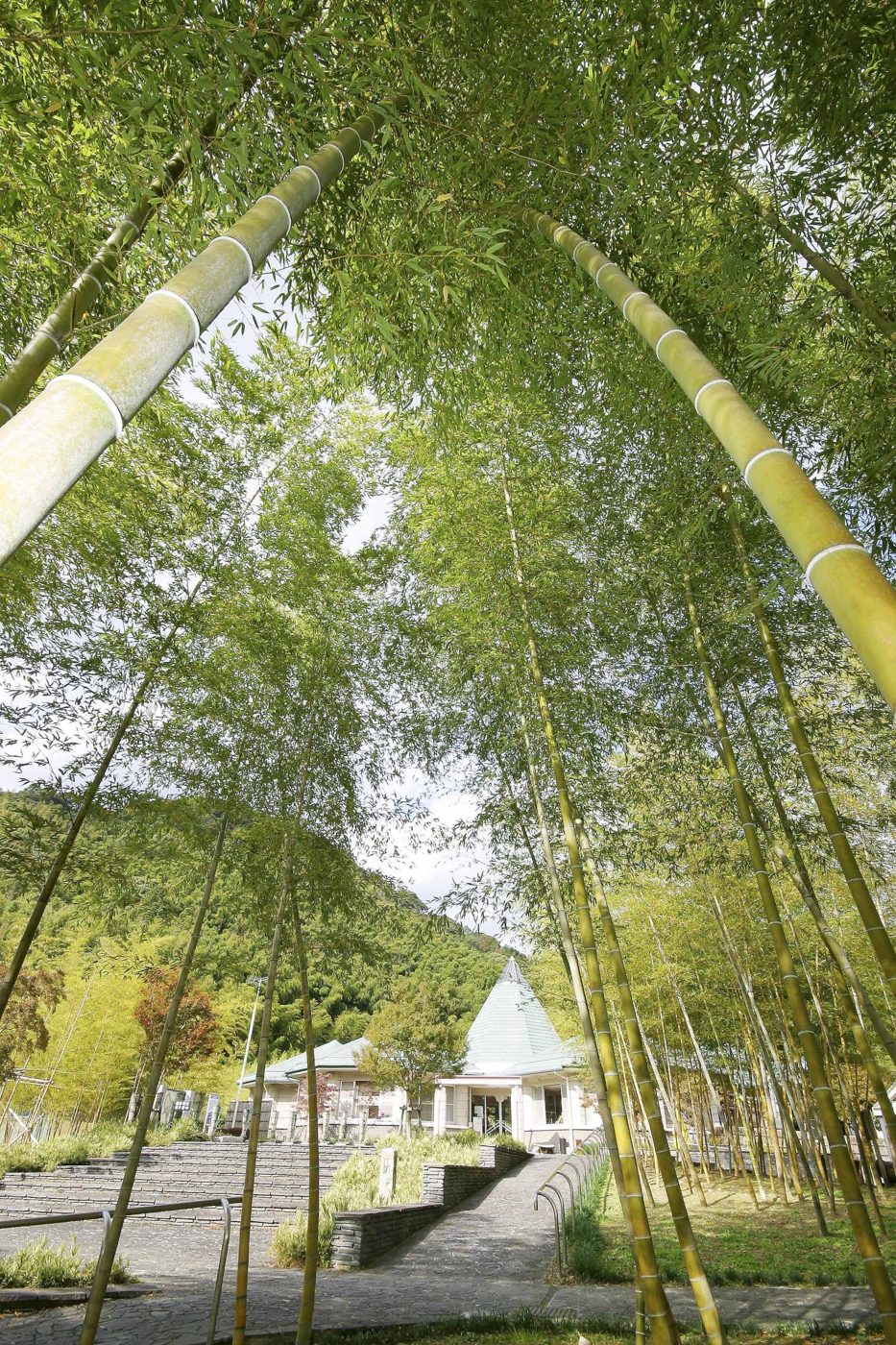 Oma Chikurin Park