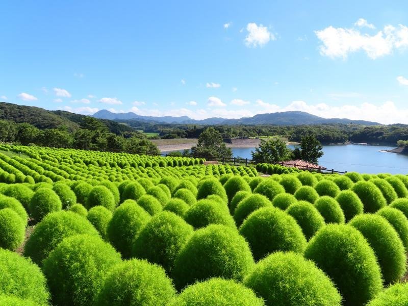 Ruru Park (Oita Nogyo Bunka Park)