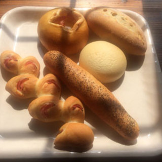 コスモス広場