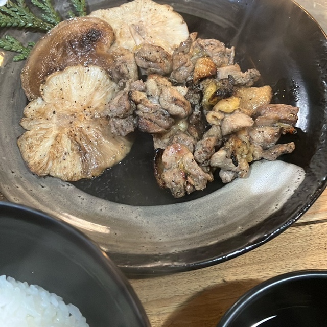 樂樂