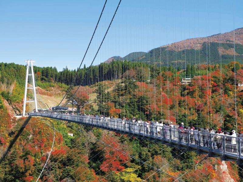 Kokonoe Yume Otsurihashi Suspension Bridge