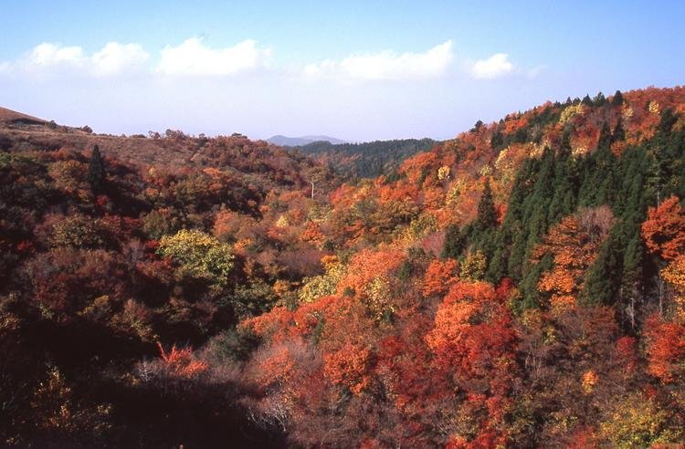 Kyusuikei Gorge