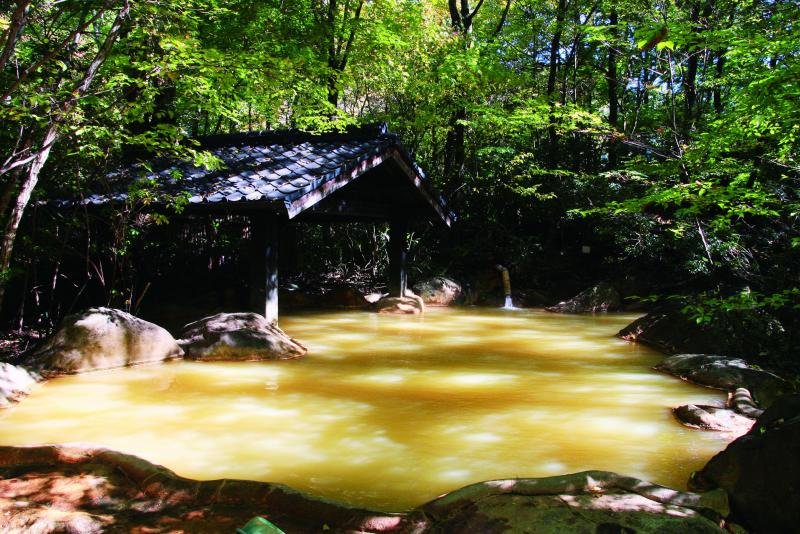 Sen Kuchi Hot Spring Inn Shin Kiyoshi-kan